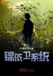錦依衛系統