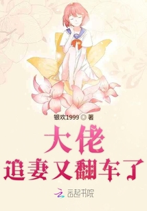 大佬追妻又翻車(chē)了