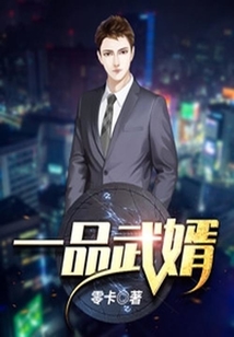 一品武婿