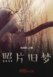 照片舊夢