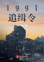 港綜：1991追緝令在線閱讀
