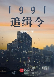 港綜：1991追緝令