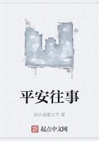 平安往事在线阅读