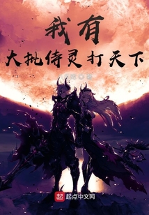 全球魂穿：我的侍靈有點多
