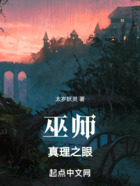 巫师：真理之眼在线阅读