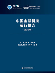 中國金融科技運行報告（2020）