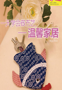 一天學(xué)會做布藝：溫馨家居