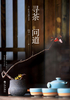 寻茶问道