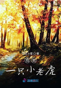 找到一只小老虎