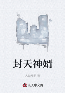 封天神婿