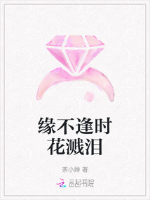 緣不逢時花濺淚
