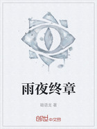 雨夜终章在线阅读
