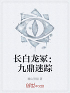 长白龙冢:九鼎迷踪在线阅读