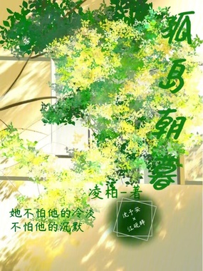 孤岛朝暮在线阅读