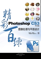 Photoshop CS3中文版图像处理与平面设计精彩百练在线阅读