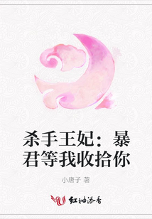殺手王妃:暴君等我收拾你