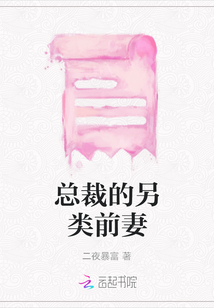 总裁的另类前妻