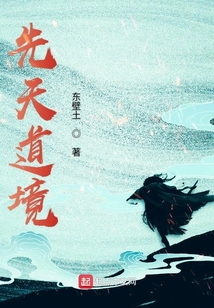 先天道境
