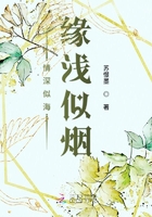情深似海缘浅似烟在线阅读