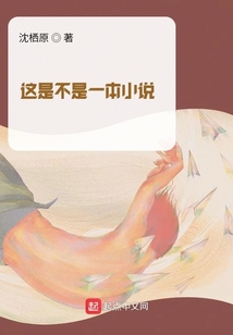 這是不是一本小說