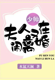 少帥，夫人又在鬧離婚！