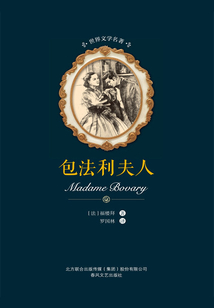 包法利夫人(世界文學(xué)名著)