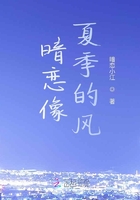 暗恋像夏季的风在线阅读