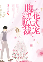 撩妻入怀:腹黑总裁花式宠