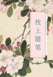 枕上随笔