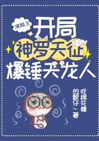 海贼王:开局神罗天征,爆锤天龙人在线阅读