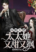 闪婚大佬:太太她又甜又飒在线阅读