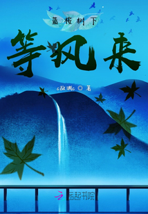 藍桉樹下等風來