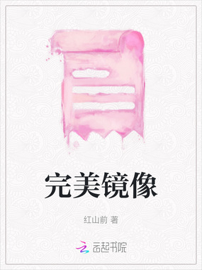 完美镜像在线阅读
