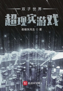 雙子世界超現實游戲