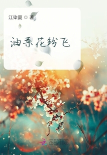 油菜花紛飛