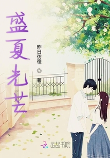 盛夏光芒