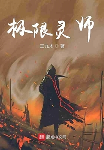 极限灵师
