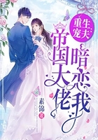 重生宠夫:帝国大佬暗恋我