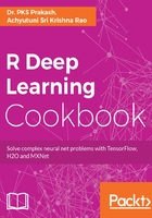 R Deep Learning Cookbook在线阅读