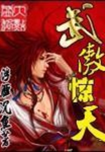 武傲惊天