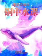 重生之我在铜中水课在线阅读