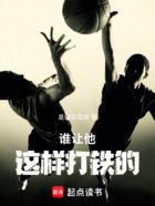 谁让他这样打铁的在线阅读