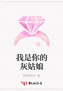 我是你的灰姑娘