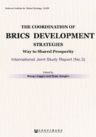 金砖国家发展战略对接：迈向共同繁荣的路径：中外联合研究报告（No.3）（英文版）