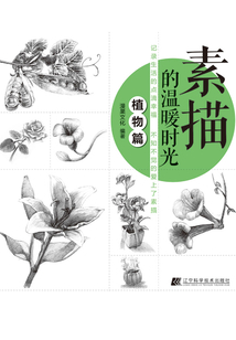 素描的溫暖時光植物篇