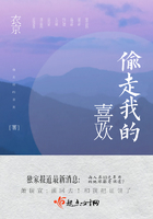 偷走我的喜歡在線閱讀
