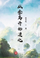 從金烏開始進化在線閱讀