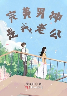 完美男神是我老公
