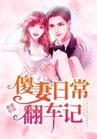 傻妻日常翻車記在線閱讀