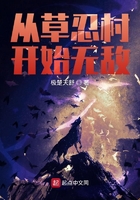 忍界:从草忍村开始无敌在线阅读